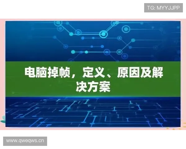 深入解析565体育平台的特色功能与用户体验提升策略